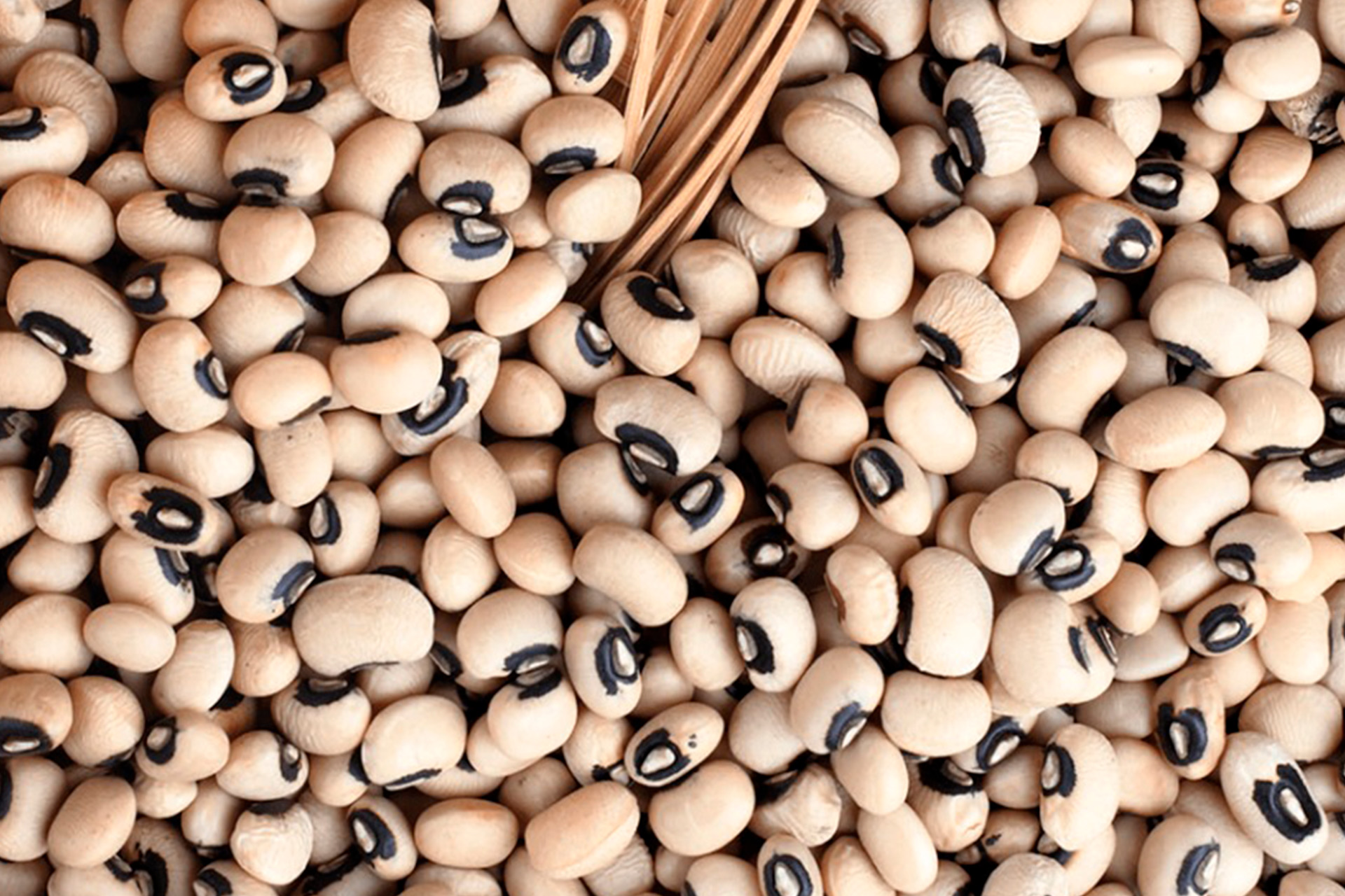 Gold Land Pulses Black eyed beans