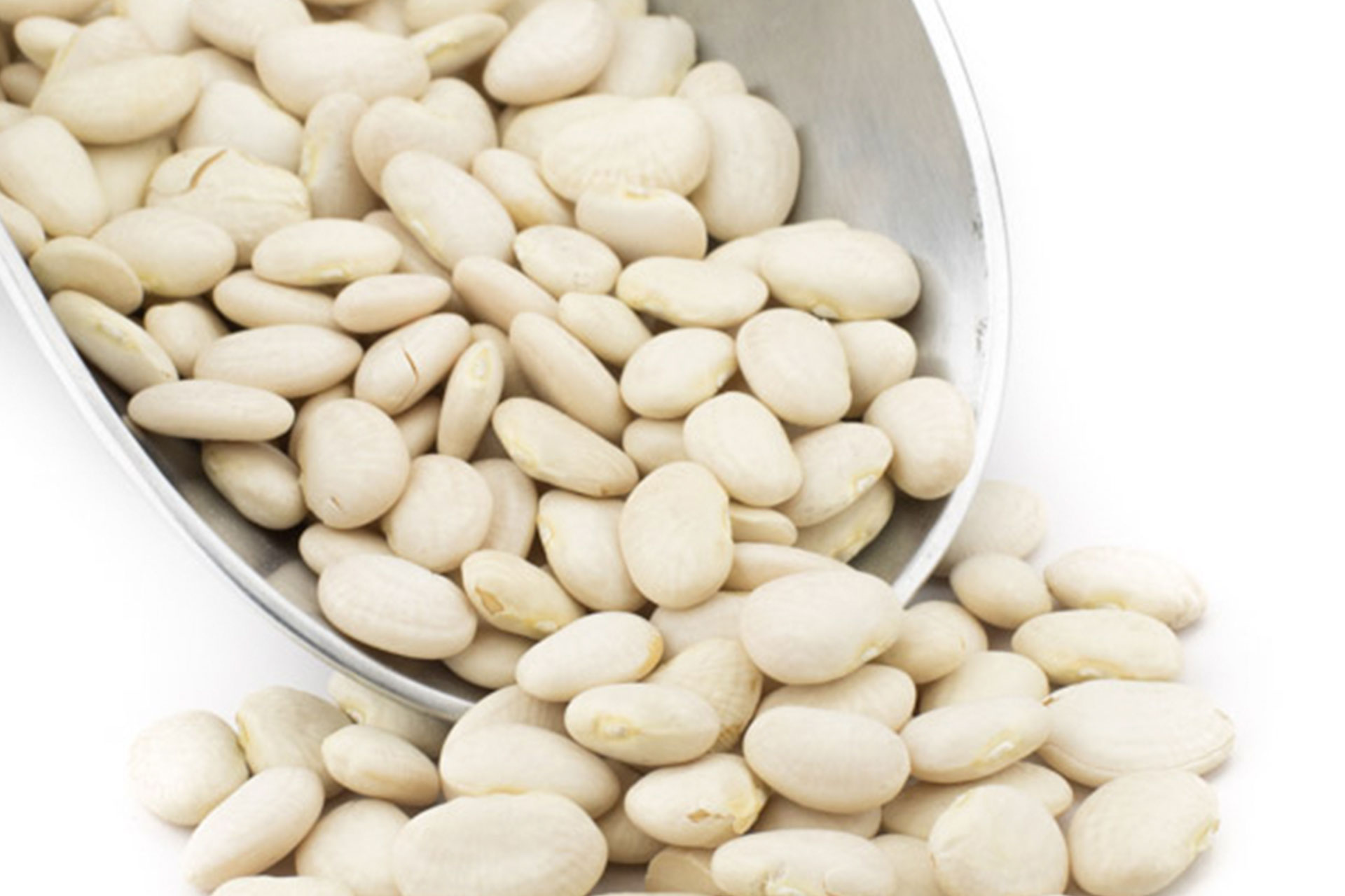 Gold Land Pulses Baby Lima beans