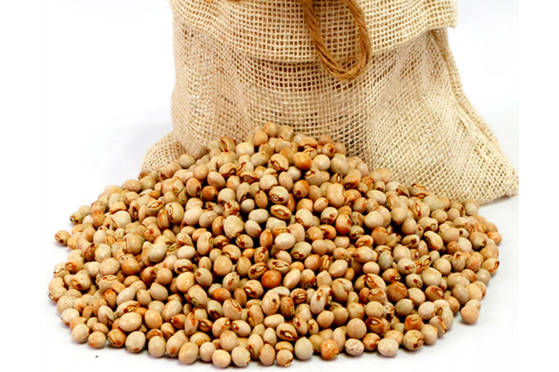 Gold Land Pulses Pigeon beans