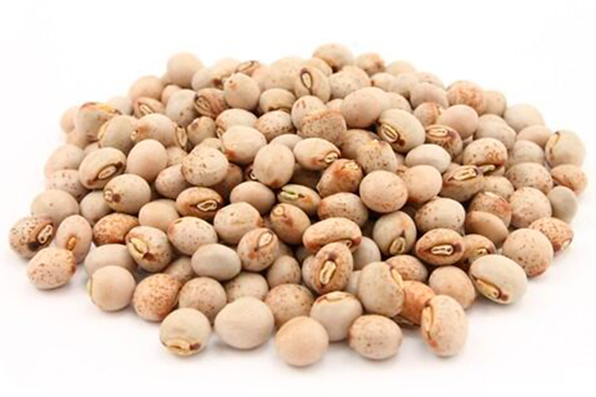 Gold Land Pulses Pigeon Beans